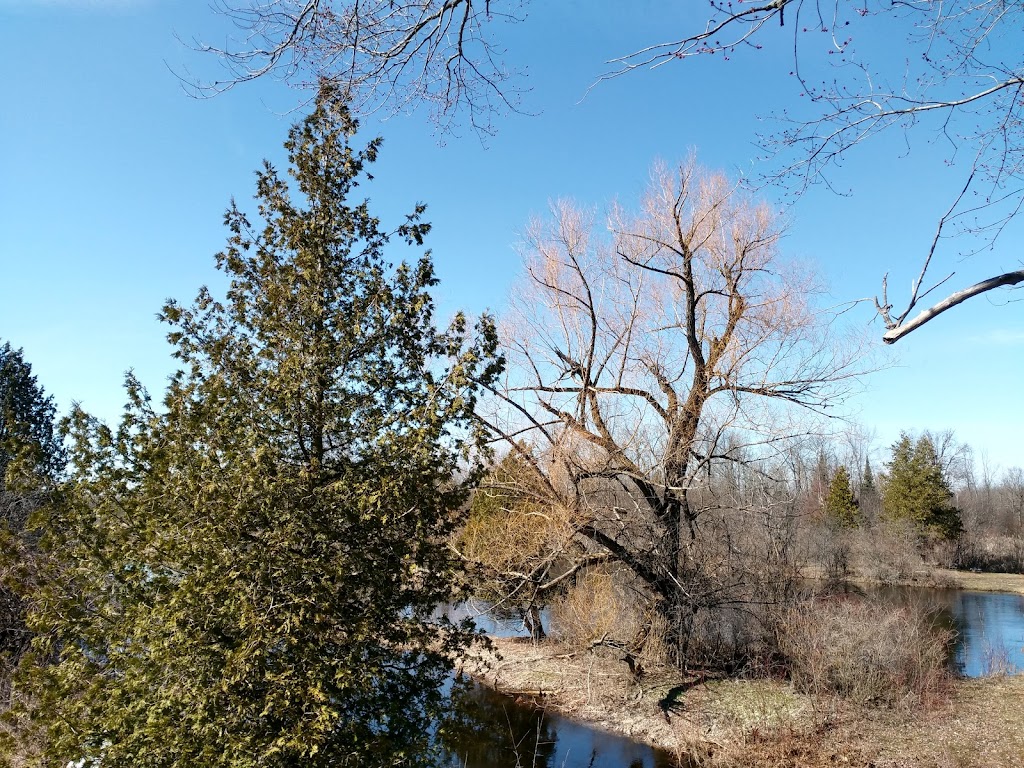 Tay Marsh Lookout Tower | Perth Wildlife Reserve Trails, Perth, ON K7H 3C7, Canada | Phone: (613) 692-3571