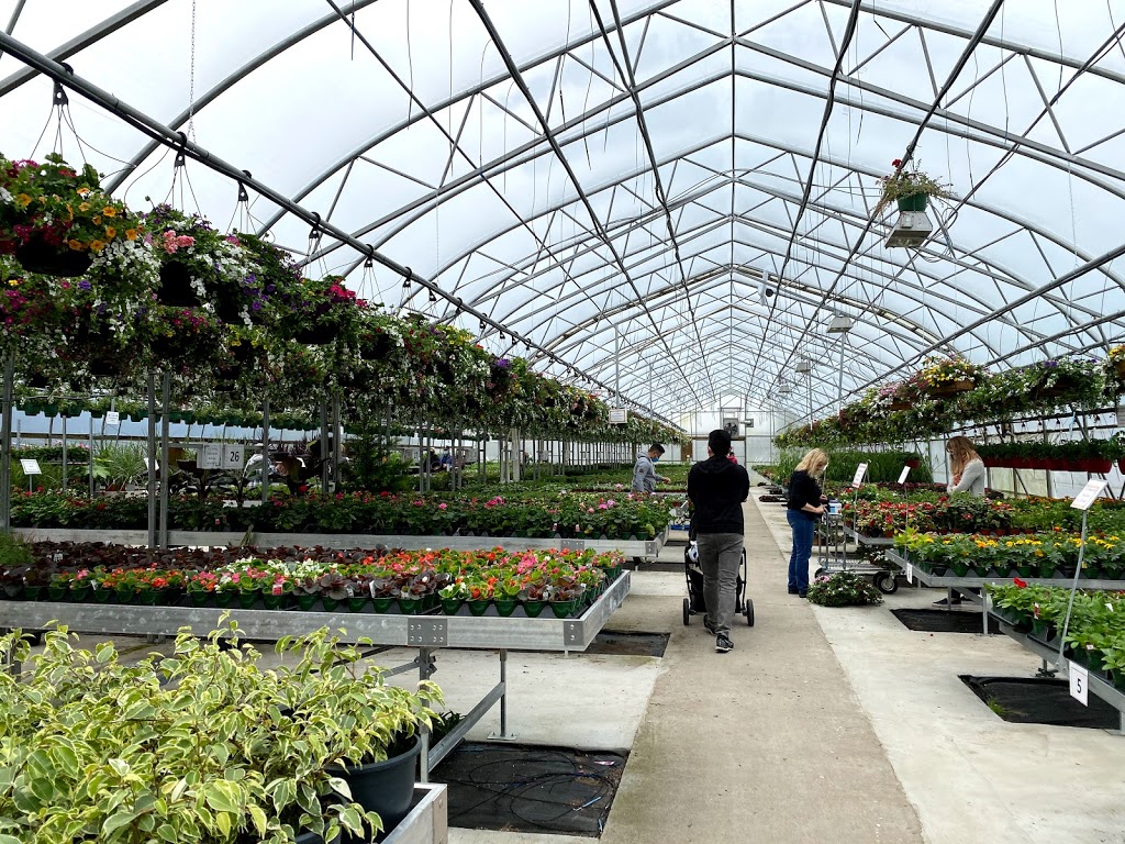 Muldoon Greenhouses Ltd. | 346 Laurier Ave, Port Coquitlam, BC V3C 3V4, Canada | Phone: (604) 552-0374