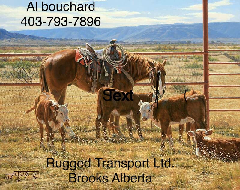 Rugged transport Ltd. | Box 634, Brooks, AB T1R 1B6, Canada | Phone: (403) 793-7896