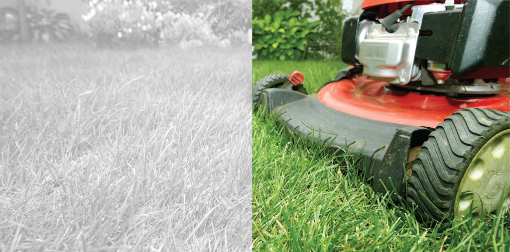 R & R Lawn Care | 360 Red Crow Blvd W, Lethbridge, AB T1K 7M2, Canada | Phone: (403) 320-6287