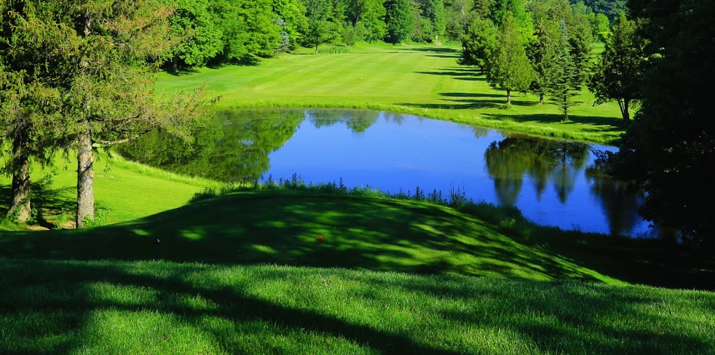 Twin Streams Golf Course | 3481 Carriage Rd, Delaware, ON N0L 1E0, Canada | Phone: (519) 652-5211