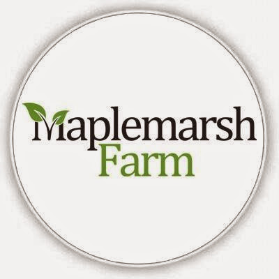 Maplemarsh Farm | 5700 3rd Concession Road, Stella, ON K0H 2S0, Canada | Phone: (613) 888-3702