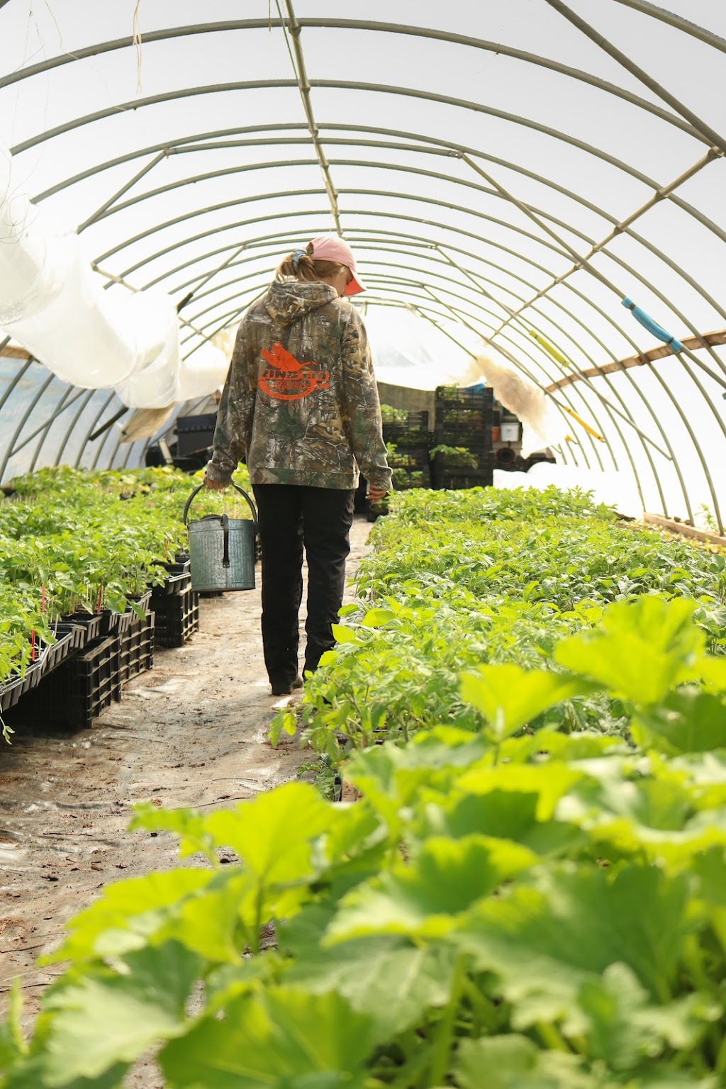 Meadow Lynn Market & CSA | 80 Decou Rd, Simcoe, ON N3Y 4K2, Canada | Phone: (226) 567-5833