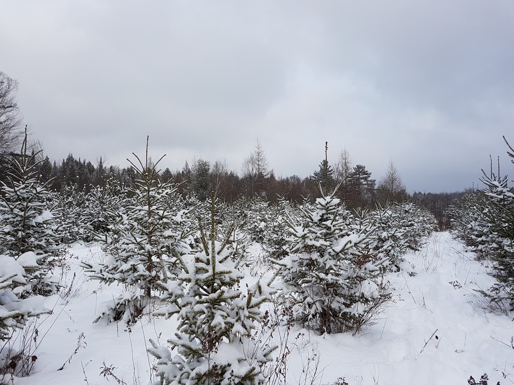 Oke-Cook Family Farm, A Tradition Since 1867 | 1200 Campbells Rd, Bracebridge, ON P1L 0A1, Canada | Phone: (705) 645-5866