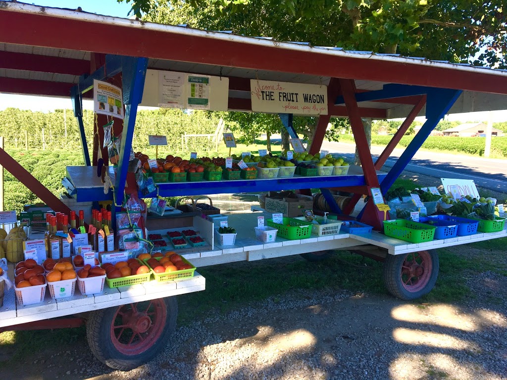 The Fruit Wagon | 793 County Rd 50, Harrow, ON N0R 1G0, Canada | Phone: (519) 738-4819