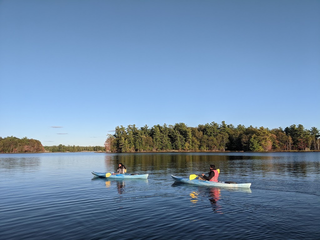 Woods Bay Lodge | 481 Georgian Bay, MacTier, ON P0C 1H0, Canada | Phone: (705) 716-0013