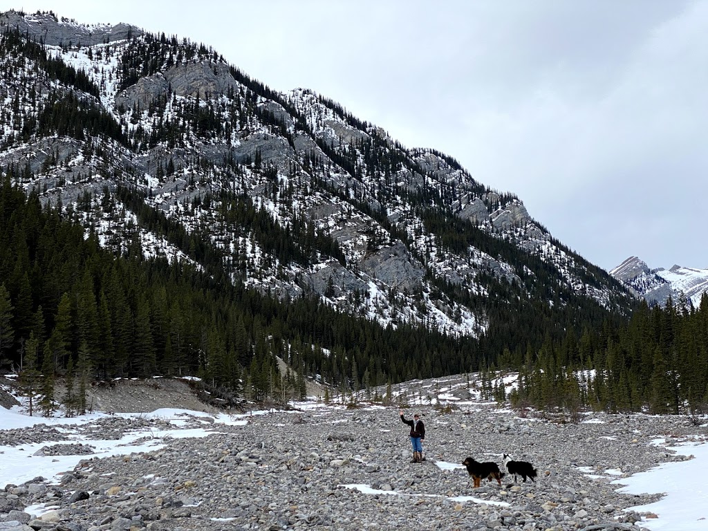 Jura Creek Trailhead | Bighorn No. 8, AB T0L, Canada | Phone: (780) 427-8636