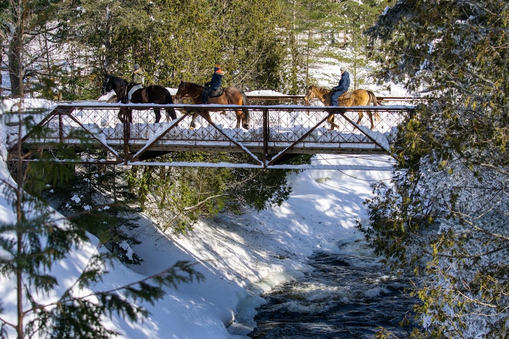 Écurie Le Baluchon | 3550 Chem. des Trembles, Saint-Paulin, QC J0K 3G0, Canada | Phone: (819) 268-2555