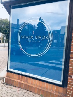 Bower Birds Hair Design | 113 Annette St, Toronto, ON M6P 1N8, Canada | Phone: (647) 405-1014