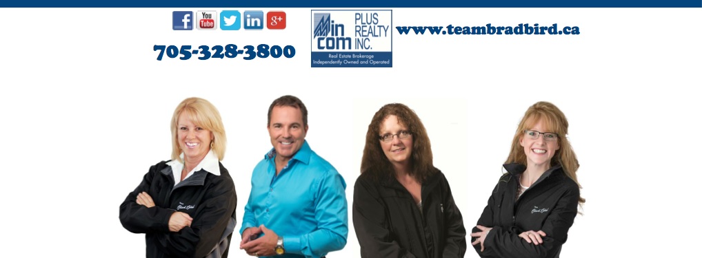 Team Brad Bird | 92 Lindsay St S, Lindsay, ON K9hV 2M3, Canada | Phone: (705) 328-3800