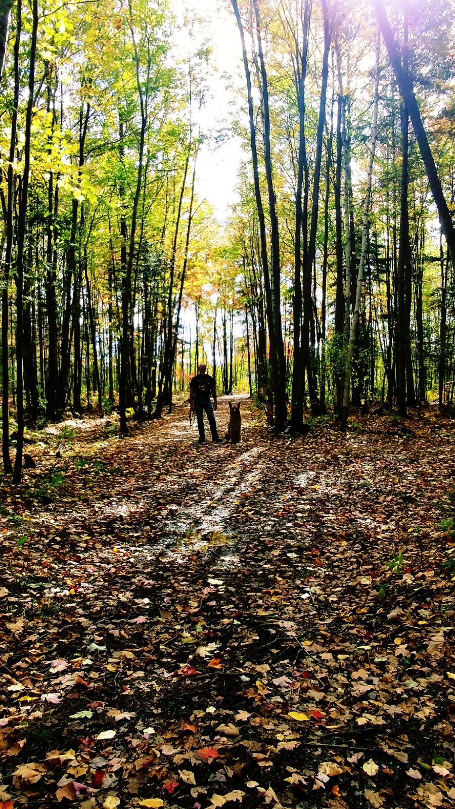 Parc des Goélands | Rue des Sittelles, Victoriaville, QC G6T 1K9, Canada