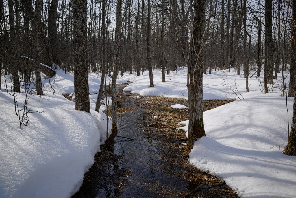 The Log Farm | 670 Cedarview Rd, Nepean, ON K2R 1E5, Canada | Phone: (613) 292-1219