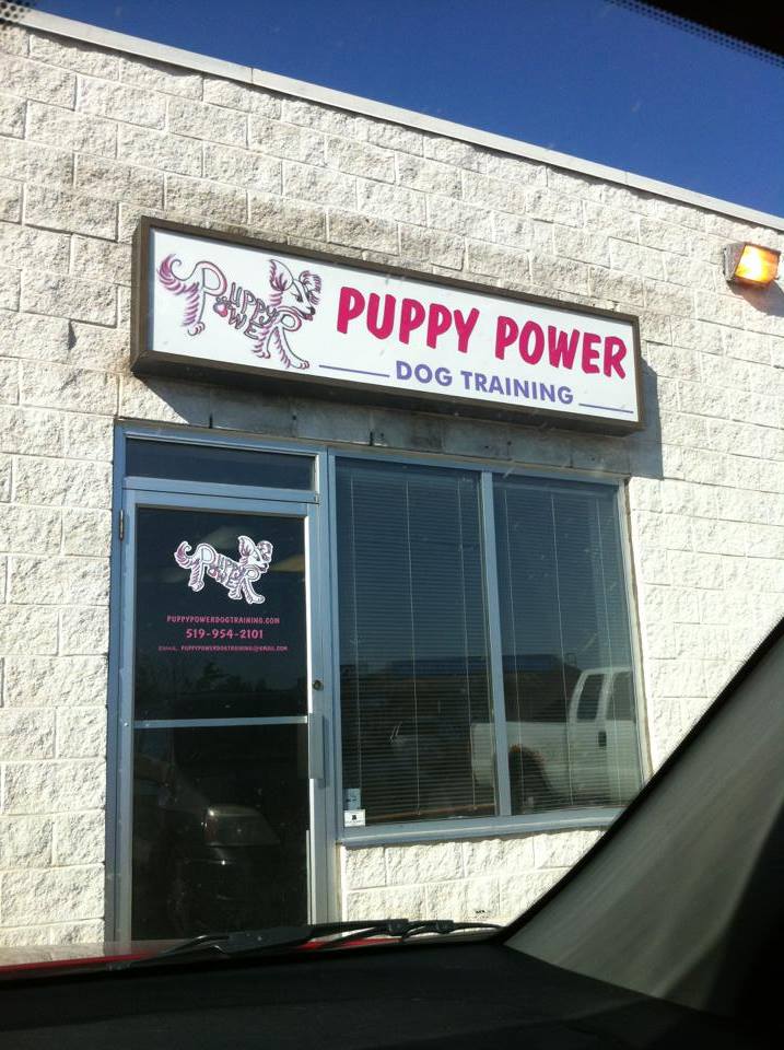 Puppy Power Dog Training - Boarding & Daycare Location | 1956 Shantz Station Rd, Breslau, ON N0B 1M0, Canada | Phone: (519) 781-8701