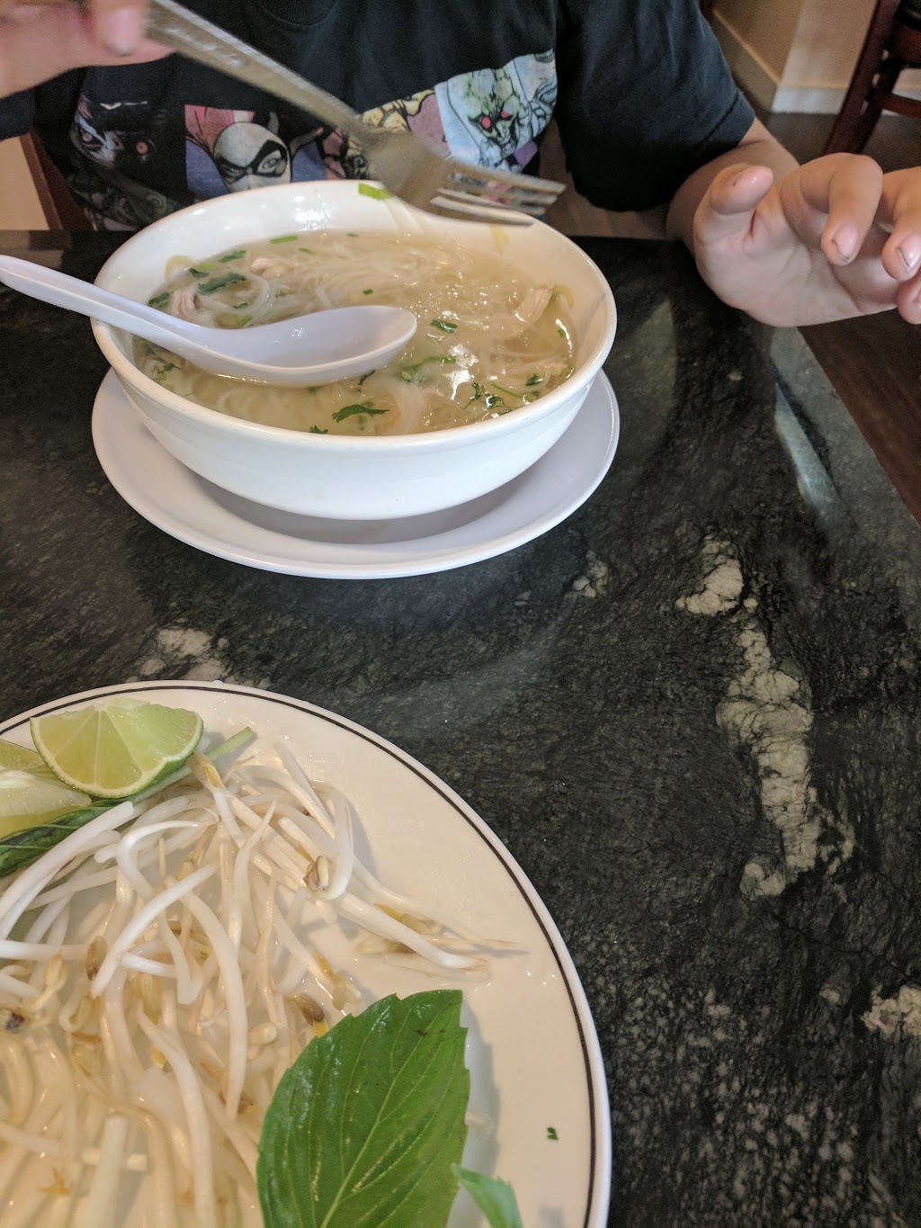 Pho Abbotsford #1 Oriental Noodle House | 2644 Cedar Park Pl, Abbotsford, BC V2T 3S5, Canada | Phone: (604) 859-9048