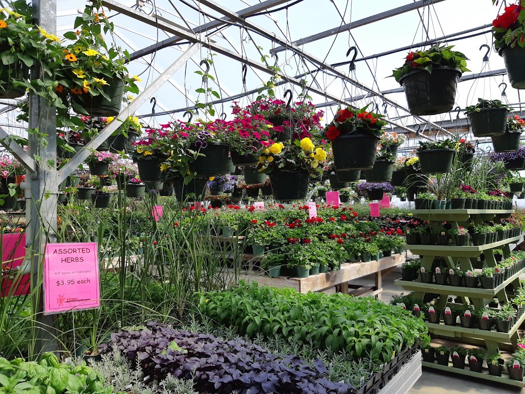 Visser Farms & Greenhouses | 2506 195 Ave NE, Edmonton, AB T5Y 6M4, Canada | Phone: (780) 473-4759