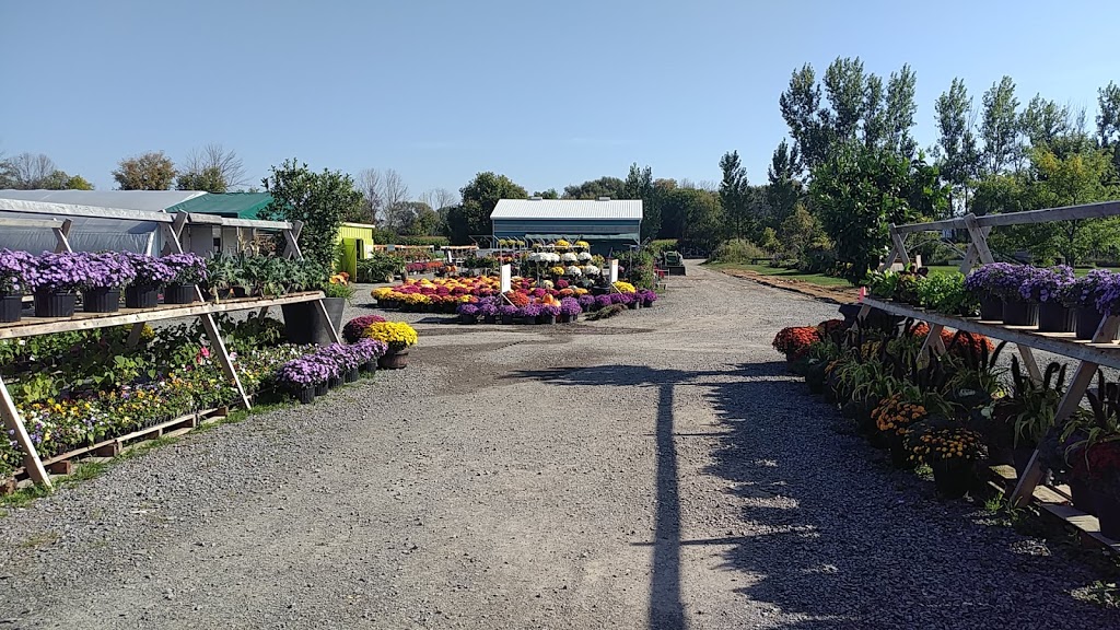 Richmond Nursery Strawberry Farm | 5740 Old Richmond Rd, Richmond, ON K0A 2Z0, Canada | Phone: (613) 838-2282