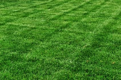 Grassboys Lawn Maintenance | 20839 Yeomans Crescent, Langley City, BC V1M 2P8, Canada | Phone: (604) 802-2697