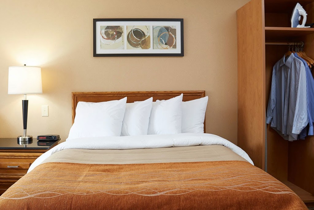 Comfort Inn Simcoe | 85 Queensway East, Simcoe, ON N3Y 4M6, Canada | Phone: (519) 426-2611