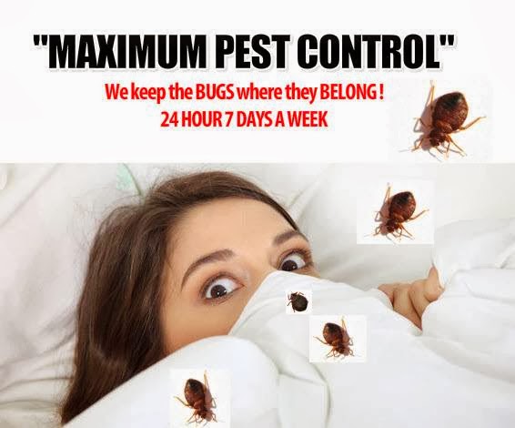 Maximum Pest Control Services. | 96 Kenilworth Ave N, Hamilton, ON L8H 4R5, Canada | Phone: (289) 396-5426