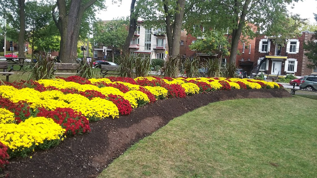 Parc Thibodeau | Mercier-Hochelaga-Maisonneuve, Montreal, QC H1N, Canada