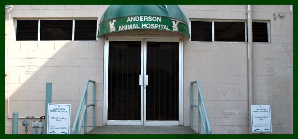 Anderson Animal Hospital | 8465 Granville St, Vancouver, BC V6P 4Z9, Canada | Phone: (604) 263-6767