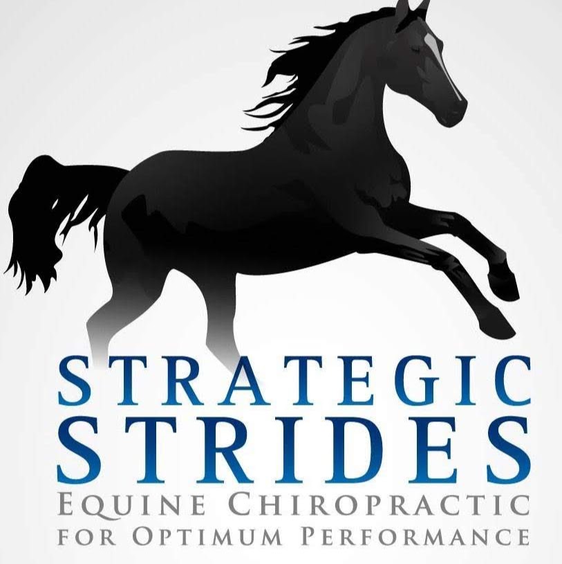 Strategic Strides Animal Chiropractic | 22 Cento Way, Stittsville, ON K2S 0M2, Canada | Phone: (613) 404-2123