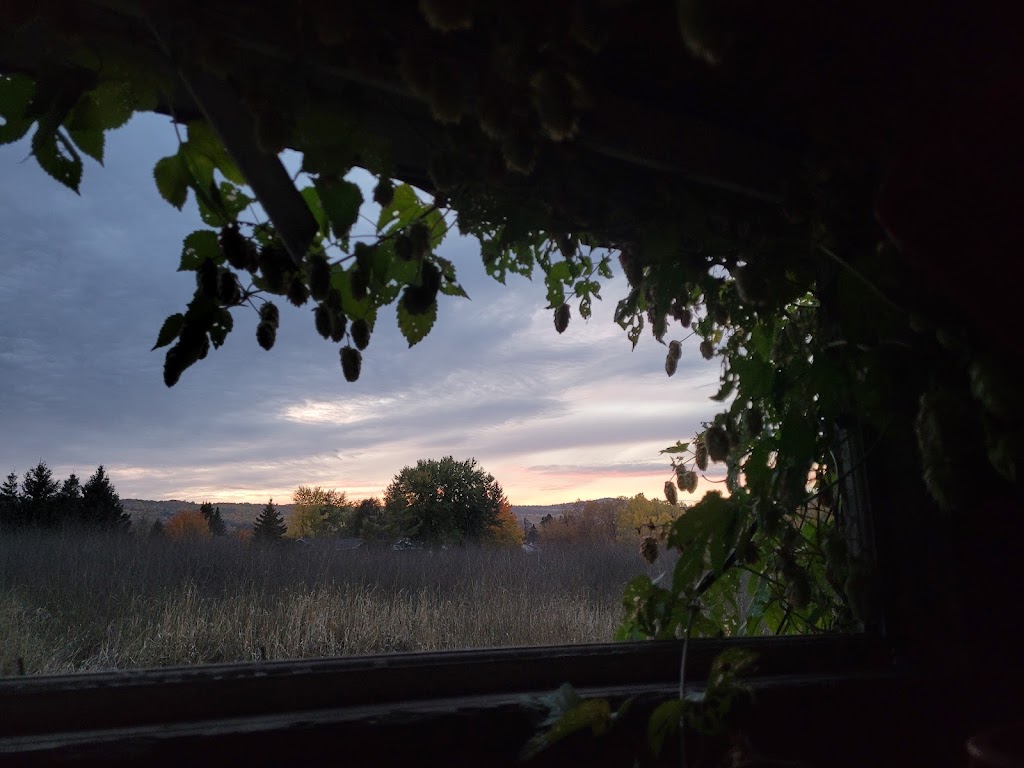 Le Jardin de la Simplicité - Winery / Cidery / Nano-Distillery | 314 Rue St Édouard, Saint-Urbain, QC G0A 4K0, Canada | Phone: (418) 435-8986