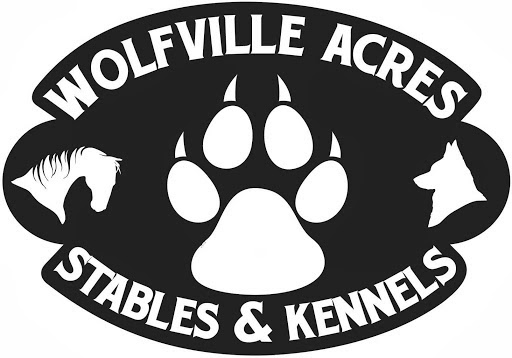 Wolfville Acres Stables & Kennels | 274052 TWP RD 424, Ponoka County, AB T4J 1R3, Canada | Phone: (403) 783-2900