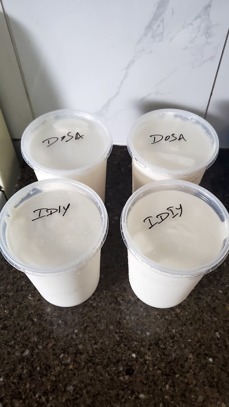 Authentic GTs Dosa Batter | 111 Hazelwood Dr, Whitby, ON L1N 3L7, Canada | Phone: (437) 998-8950