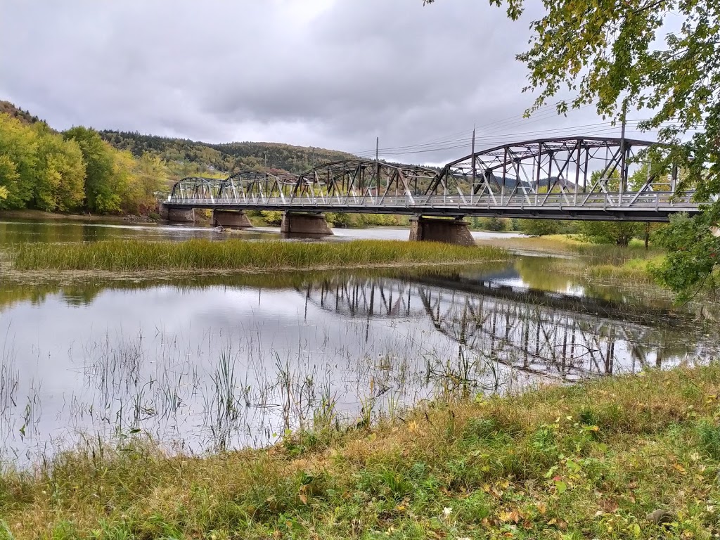 Zeldas Kennebecasis River Adventures | 1075 Main St, Hampton, NB E5N 6G1, Canada | Phone: (506) 653-0726