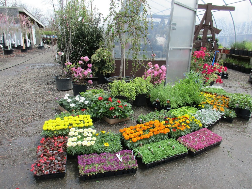 Lincoln Park Nursery | 147 Old Niagara Falls Blvd, Amherst, NY 14228, USA | Phone: (716) 692-6100