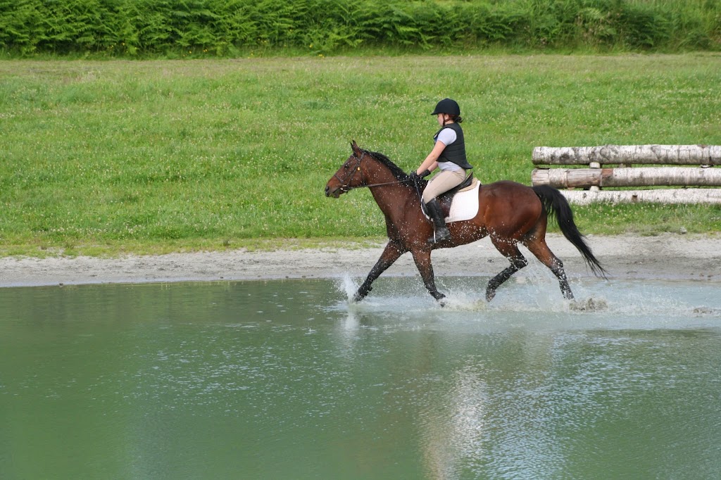 A & T Equestrian Centre | 4615 190 St, Surrey, BC V3Z 1B2, Canada | Phone: (604) 574-3211