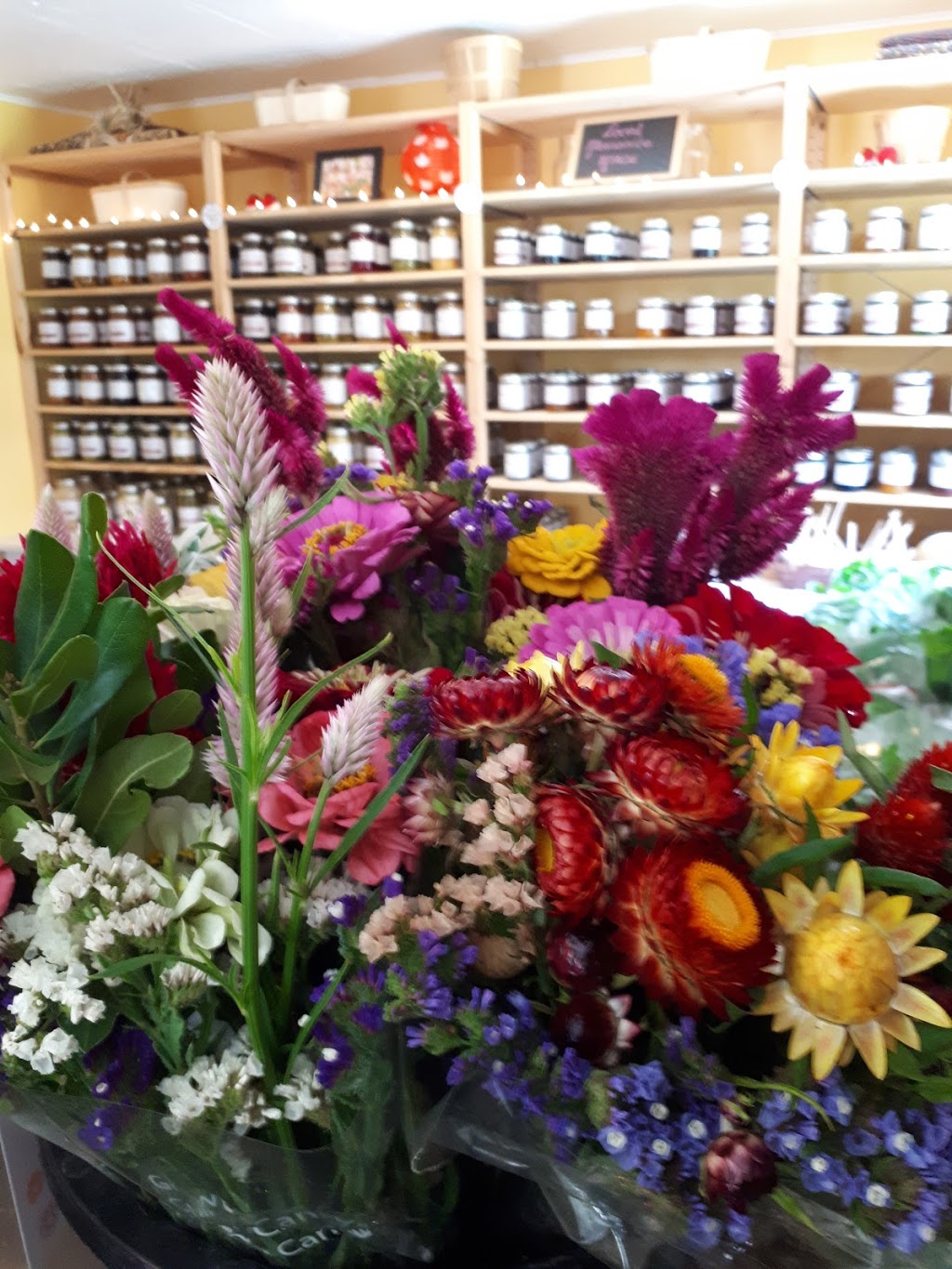 4 Seasons Farm Shop | 691 Norfolk St S, Simcoe, ON N3Y 4K1, Canada