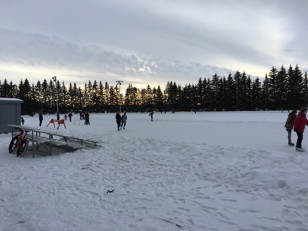 Clarence Downey Speed Skating Oval | 1201 Dudley St, Saskatoon, SK S7M 2T5, Canada | Phone: (306) 975-3318