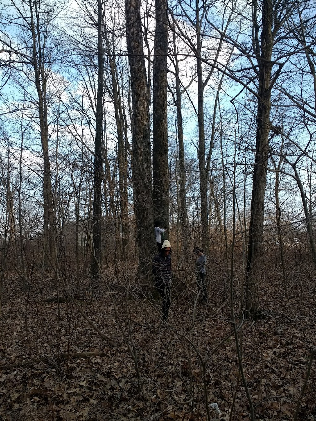 Old Trail | Ohsweken, ON N0A 1M0, Canada