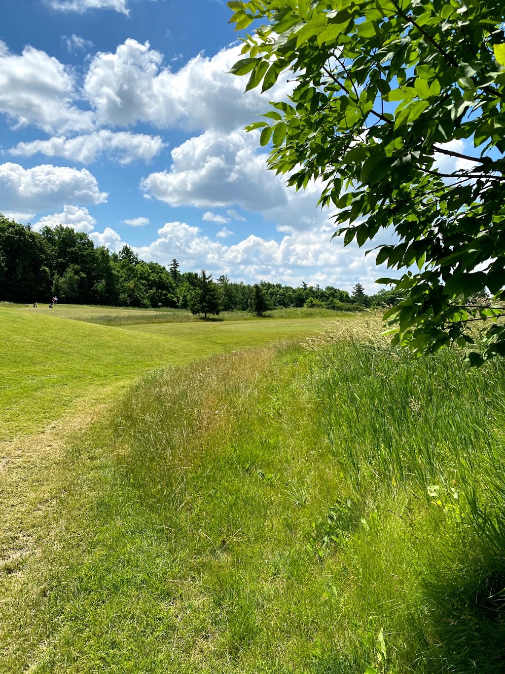 Angels View at Oakville Executive Golf Course | 4414 Fourth Line, Oakville, ON L6M 4E8, Canada | Phone: (905) 875-3932