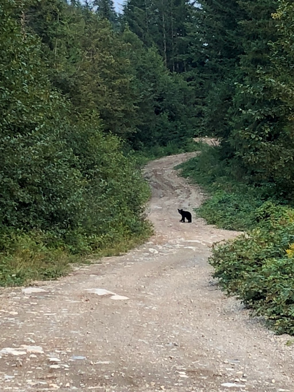 Statlu/Brotherhood Lake trailhead | Fraser Valley C, BC V0M 1L0, Canada