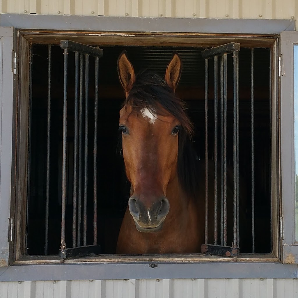 Stonetree Farms of Collingwood | 36, 37 Nottawa Side Rd E #6964, Stayner, ON L0M 1S0, Canada | Phone: (519) 240-1277