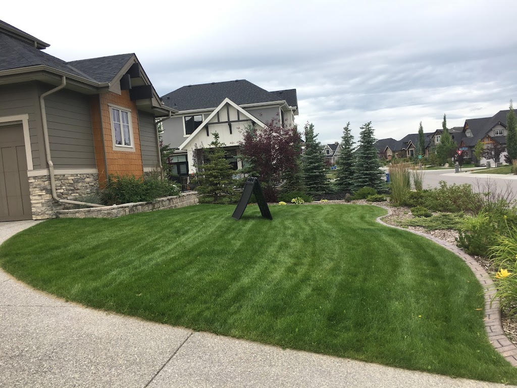 Lawn Revival Inc | 103 Buckskin Way, Cochrane, AB T4C 2P2, Canada | Phone: (403) 402-5809