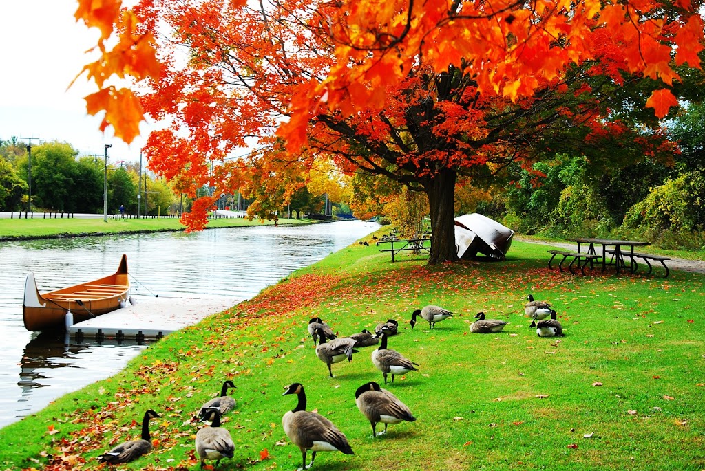 Trent-Severn Waterway, Peterborough Lift Lock Visitor Centre | 353 Hunter St E, Peterborough, ON K9H 7B5, Canada | Phone: (705) 750-4950