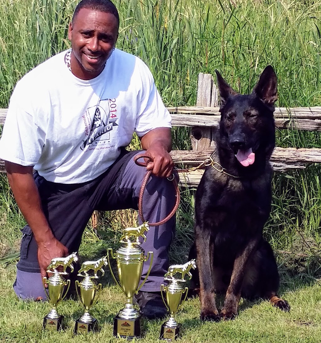 Gemini K9 Obedience | 643 McCowan Rd, Scarborough, ON M1J 1K2, Canada | Phone: (416) 297-1077