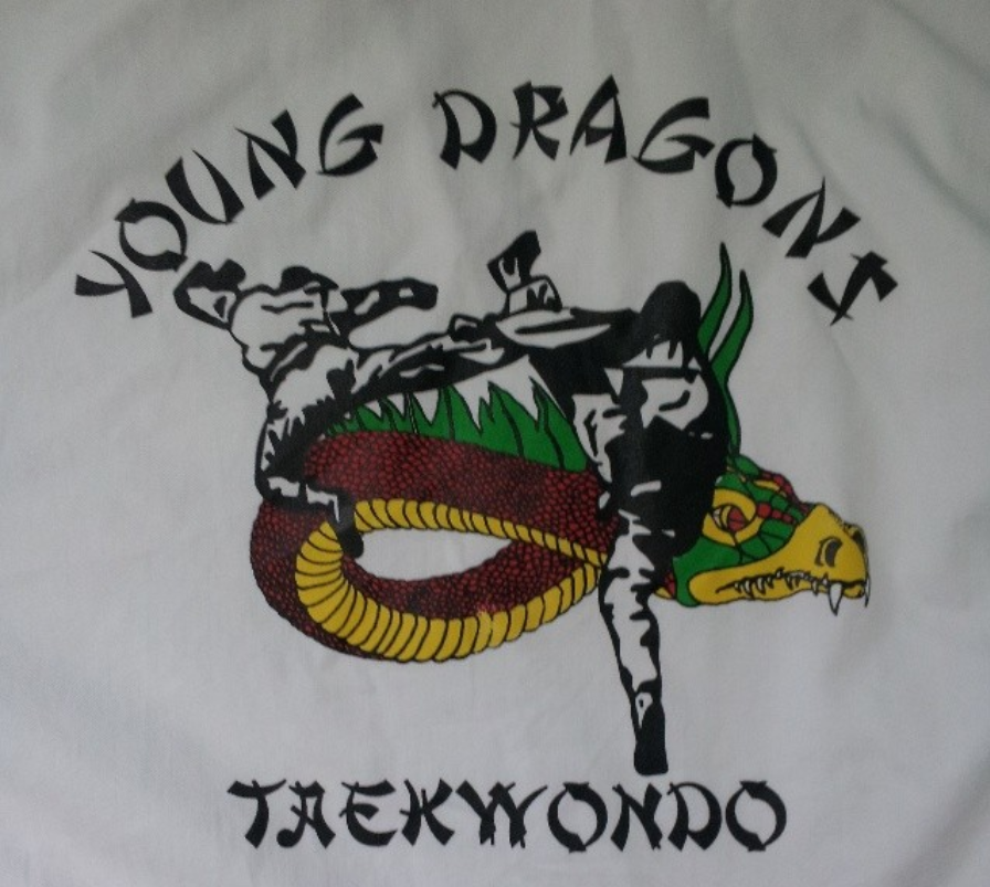 Young Dragons Taekwondo | 1295 Williams Pkwy, Brampton, ON L6S 3J8, Canada | Phone: (905) 601-8923