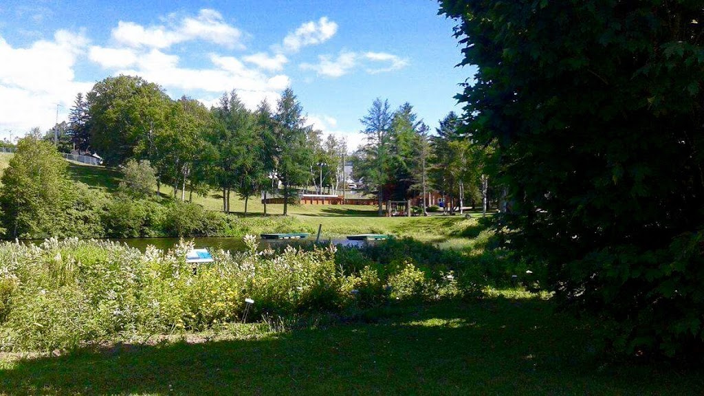 Parc Bédard | 189 Rue Saint Jacques #101, Sainte-Thècle, QC G0X 3G0, Canada | Phone: (418) 365-8517