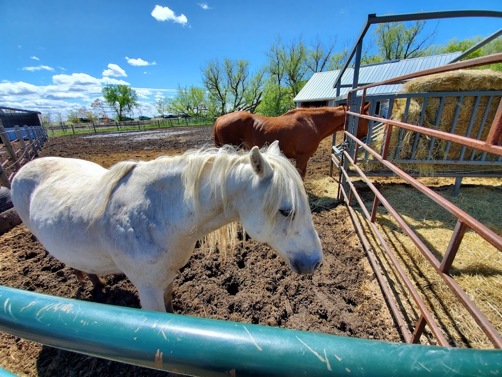 Symatree Farm | Hazelridge, MB R0E 0Y0, Canada | Phone: (204) 755-2656