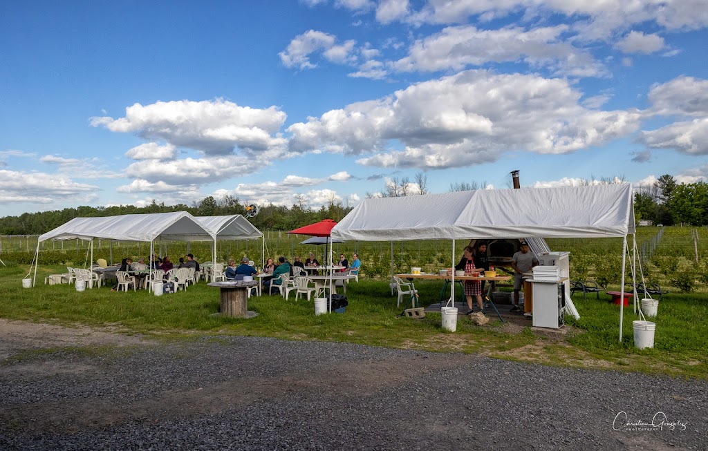 Vignoble Dovila | 1468 Chem. Saint-Féréol, Les Cèdres, QC J7T 1N8, Canada | Phone: (438) 397-9459