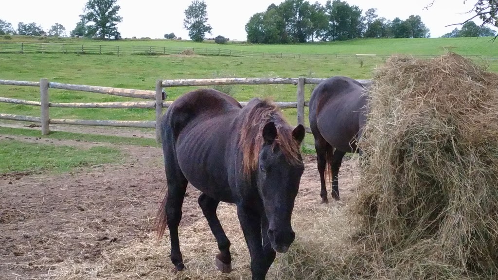 WaterStone Estate & Farms | 17900 Dufferin St, King, ON L3Y 4V9, Canada | Phone: (905) 898-1530