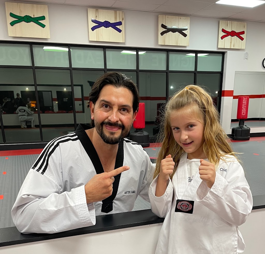 Top Level Taekwondo & Martial Arts Academy Cambridge | 1655 Bishop St N Unit 101, 102, Cambridge, ON N1R 8B5, Canada | Phone: (519) 623-9596