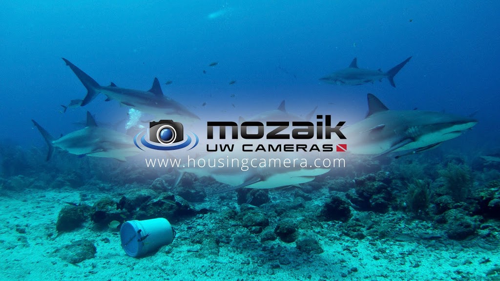 Mozaik Underwater Cameras | 8 14th St, Blaine, WA 98230, USA | Phone: (888) 318-3550