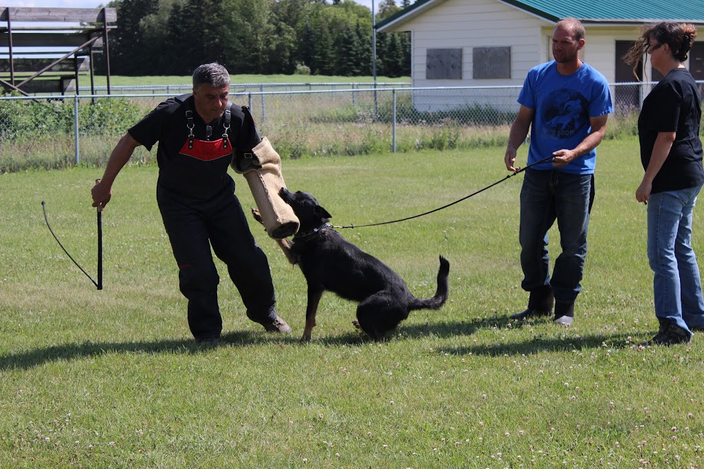 Sturgeon Schutzhund Club | 55018 RR242, AB T8T 1W6, Canada | Phone: (587) 982-6102