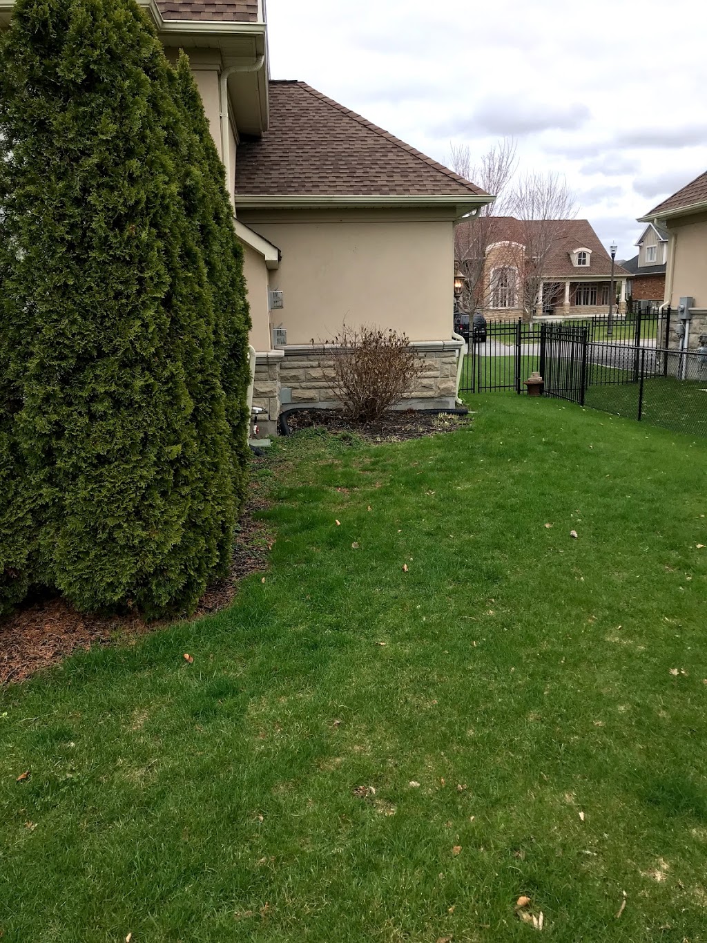 Father Mows Best Grass Cutting | 36 Wheler Ct, Uxbridge, ON L9P 1T8, Canada | Phone: (905) 852-6387